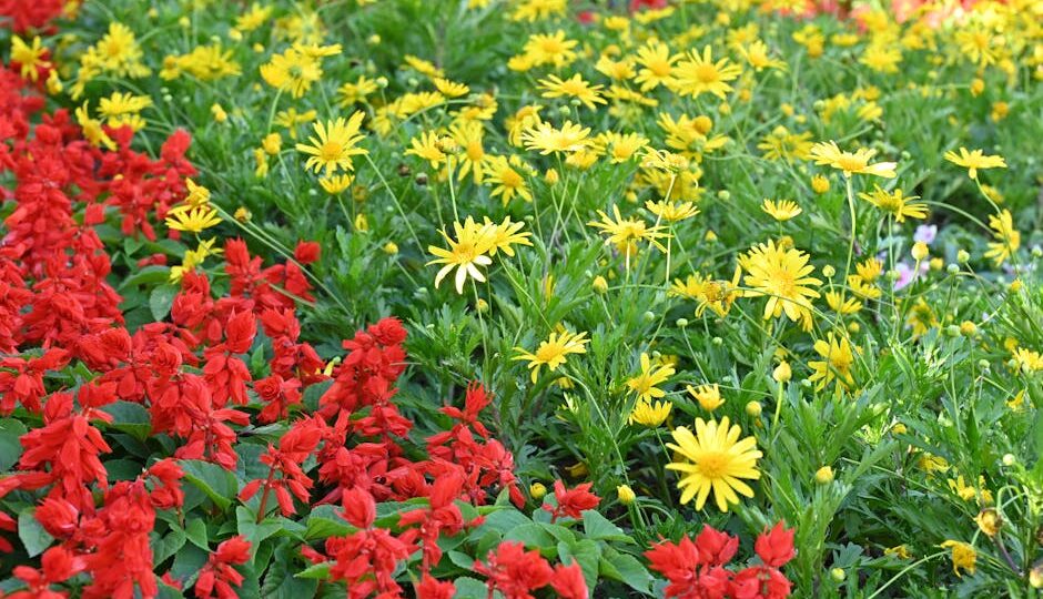 How to Achieve Colorful Blooms Year-Round