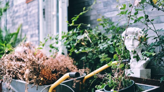 7 Mistakes to Avoid When Designing Your Garden