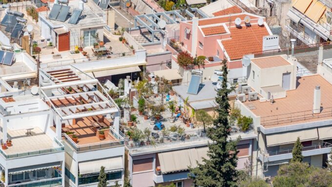 How to Successfully Grow a Rooftop Garden