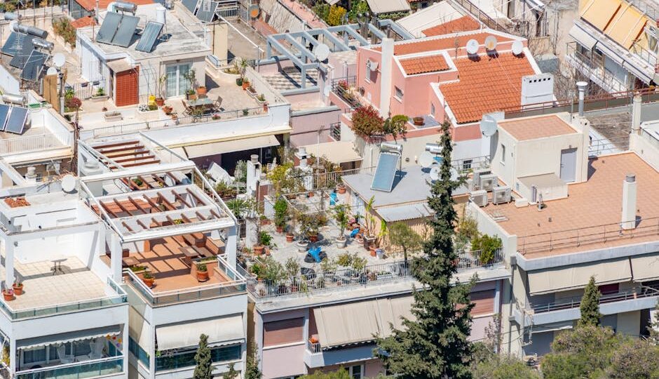 How to Successfully Grow a Rooftop Garden