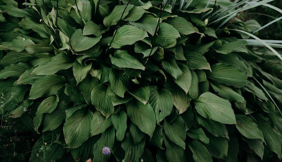 15 Best Plants for Shady Gardens in 2026