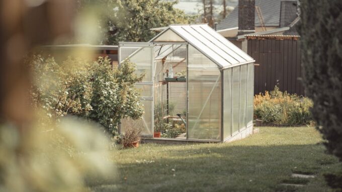 How to Transform a Small Yard into a Lush Oasis