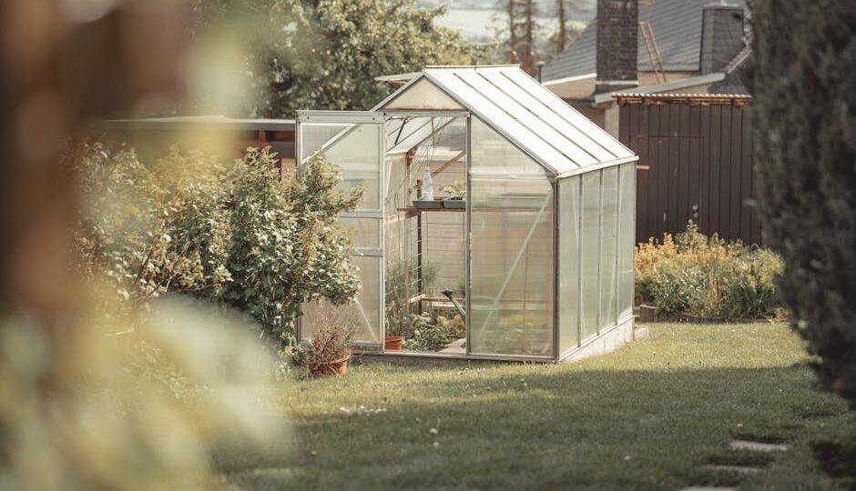 How to Transform a Small Yard into a Lush Oasis