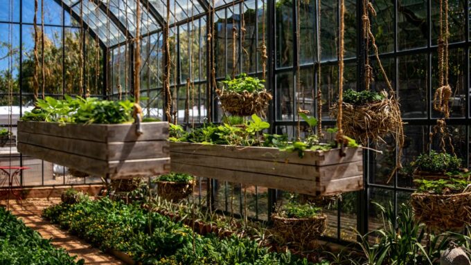 How to Create a Sustainable Yard: A Step-by-Step Guide