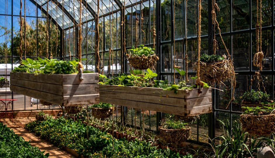 How to Create a Sustainable Yard: A Step-by-Step Guide