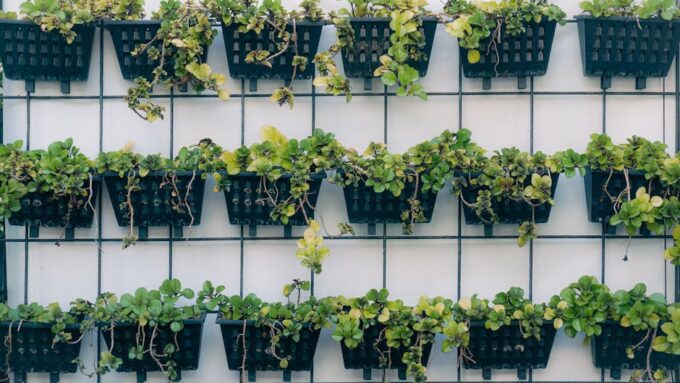 Why Vertical Landscaping Matters in Urban Areas