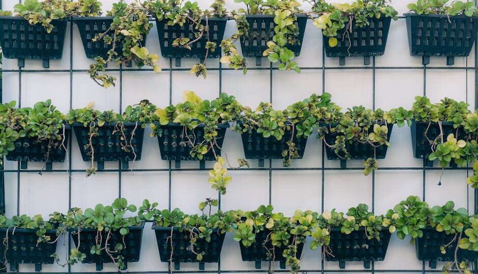 Why Vertical Landscaping Matters in Urban Areas