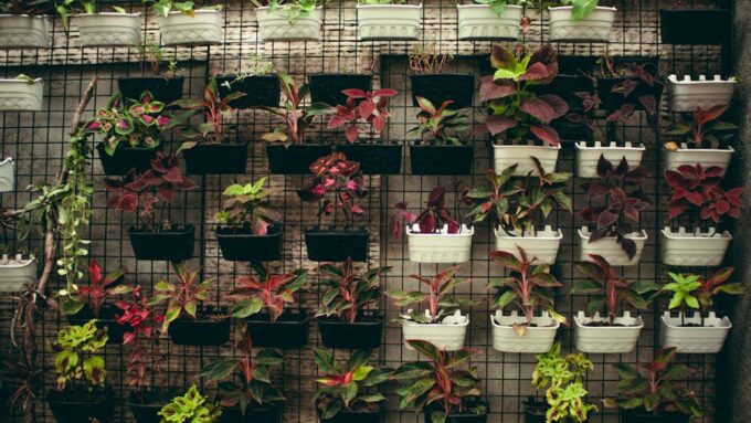 The Ultimate Guide to Vertical Gardens