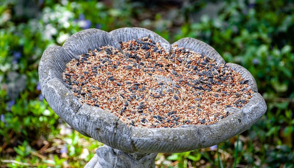 How to Create a Wildlife-Friendly Backyard