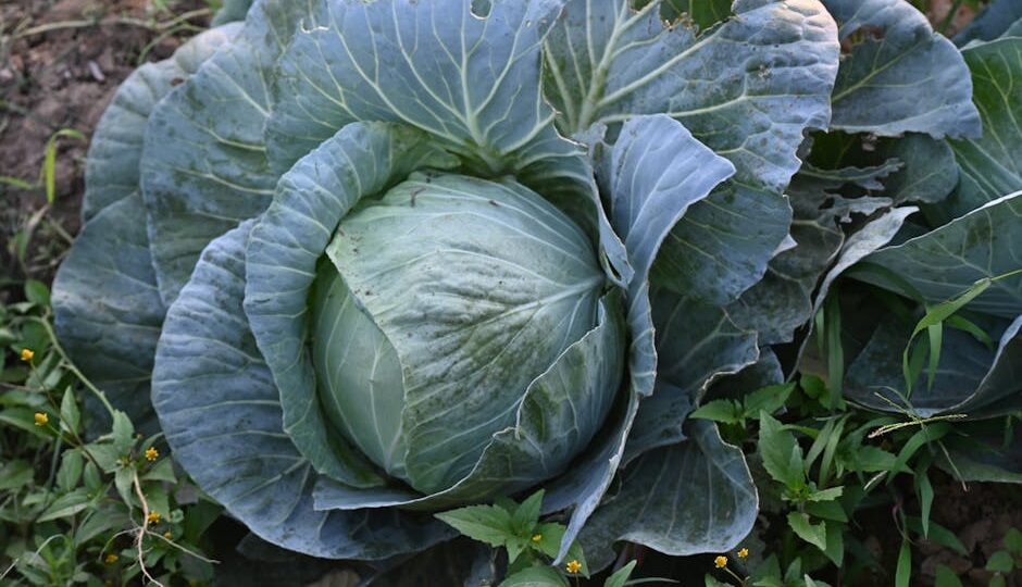 The Rise of Edible Landscapes: Cultivating Beauty and Nutrition in 2026