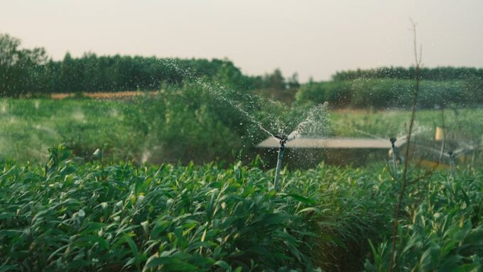 Revolutionize Your Yard with Intelligent Irrigation in 2026
