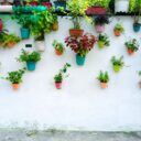 Maximizing Your Urban Yard: Creative Vertical Gardening Solutions for 2026