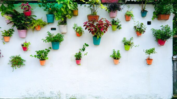 Maximizing Your Urban Yard: Creative Vertical Gardening Solutions for 2026
