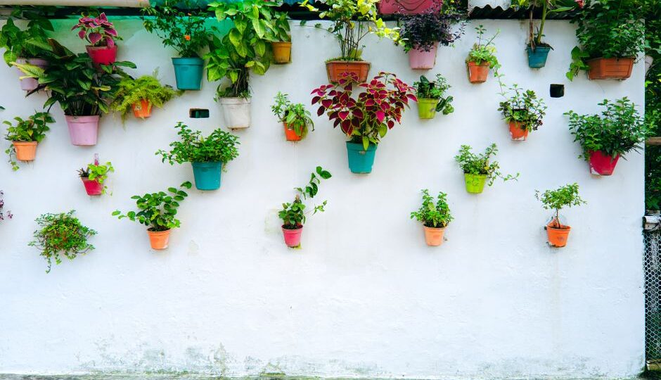 Maximizing Your Urban Yard: Creative Vertical Gardening Solutions for 2026