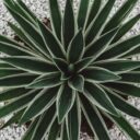 Water-Wise Wonders: Designing a Drought-Resilient Yard in 2026