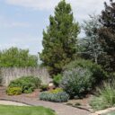 The Rise of Regenerative Landscaping: How to Restore Your Yard in 2026