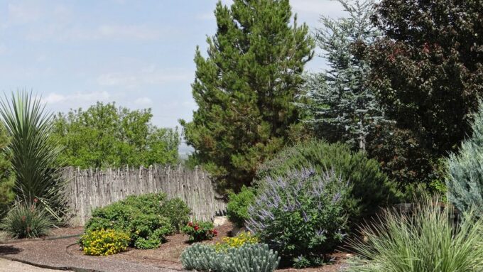 The Rise of Regenerative Landscaping: How to Restore Your Yard in 2026