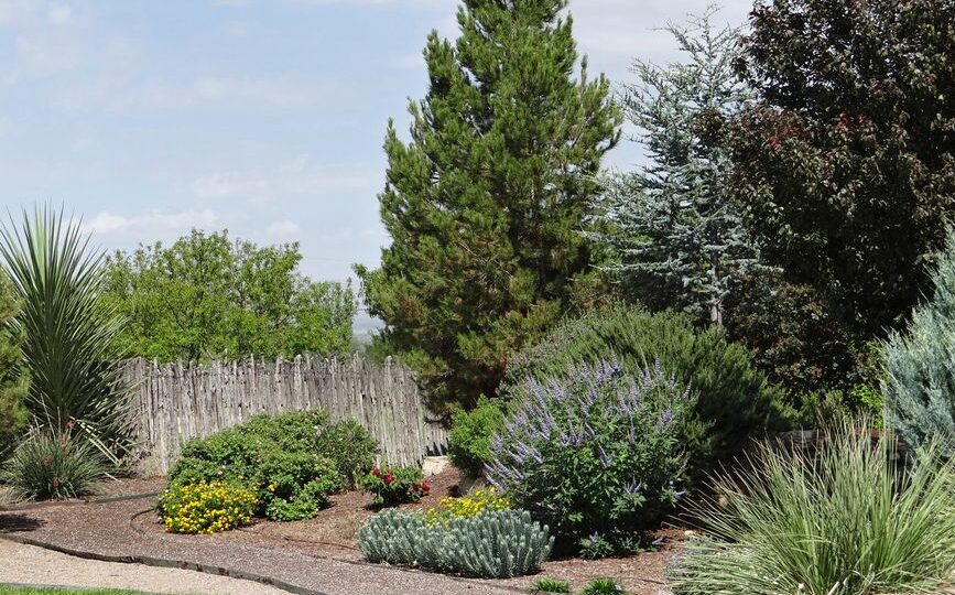 The Rise of Regenerative Landscaping: How to Restore Your Yard in 2026
