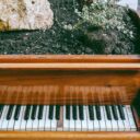 The Garden of Sounds: Designing an Acoustically Pleasing Landscape in 2026