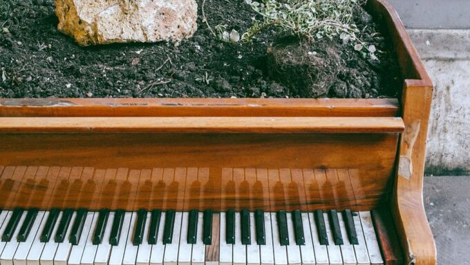 The Garden of Sounds: Designing an Acoustically Pleasing Landscape in 2026