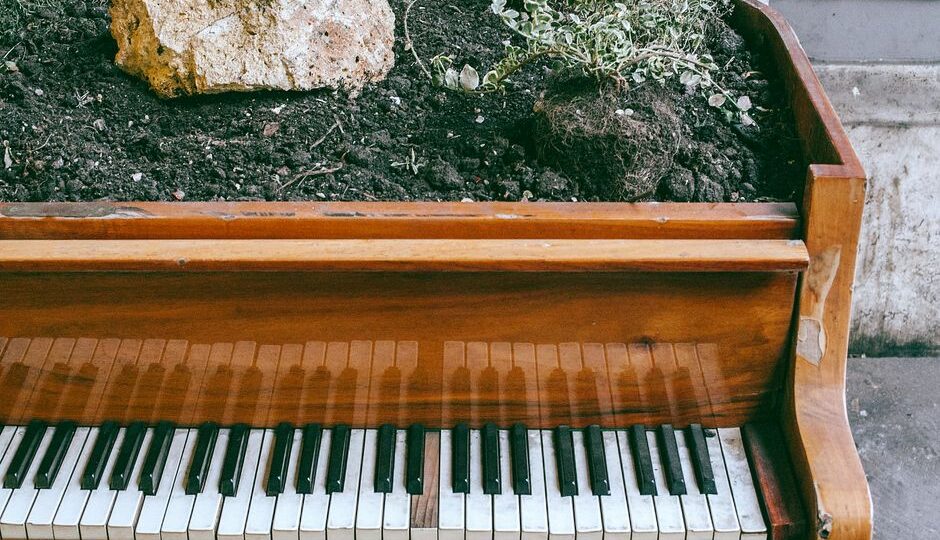 The Garden of Sounds: Designing an Acoustically Pleasing Landscape in 2026
